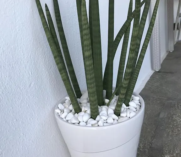 Yanna Asteri Suites * Ornos (Mykonos)